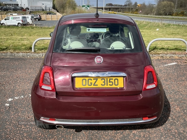 Used Fiat 500 2019 for sale - 78101835: Photo 6