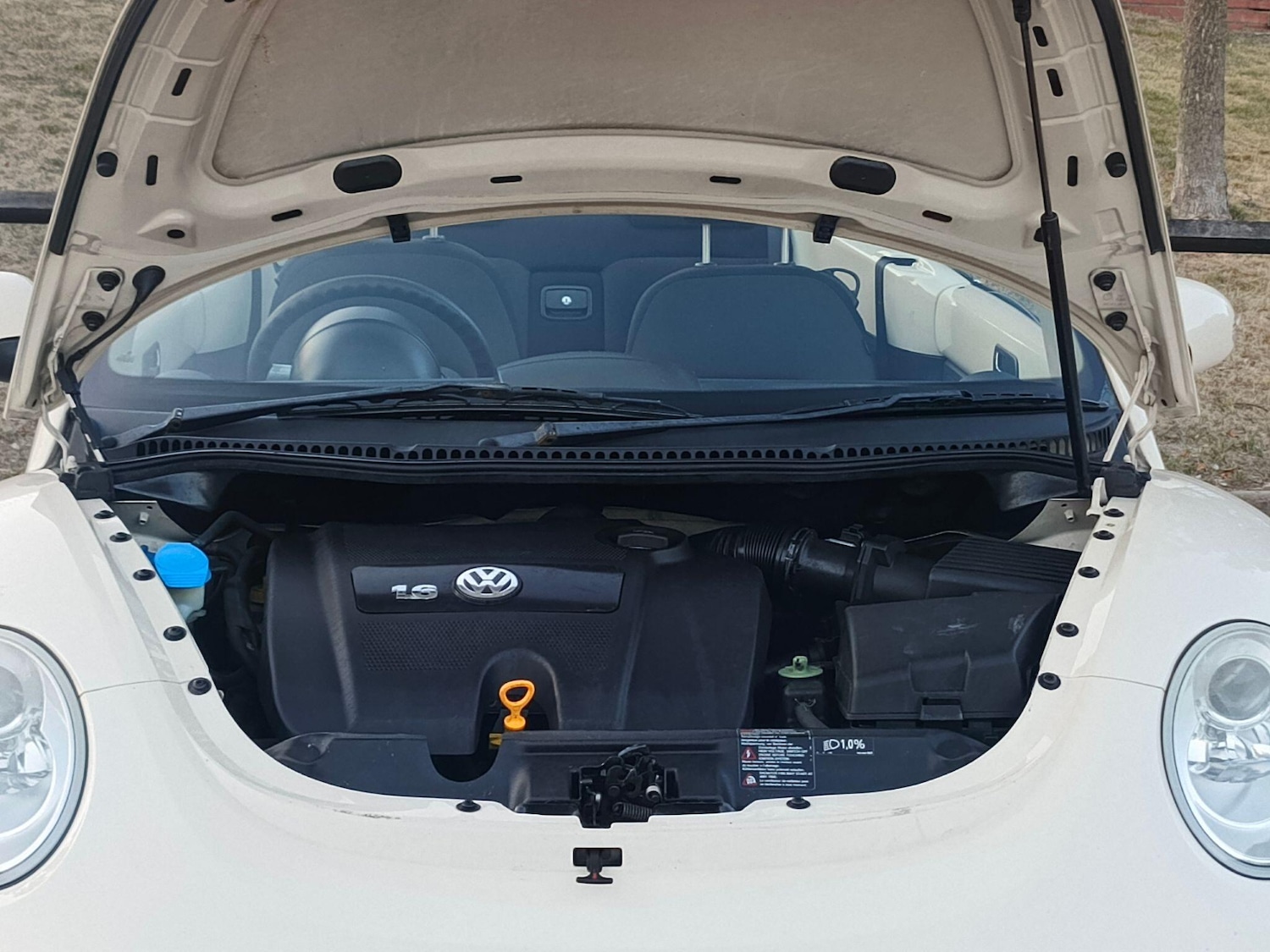 Used Volkswagen Beetle for sale - 76592694: Photo 17