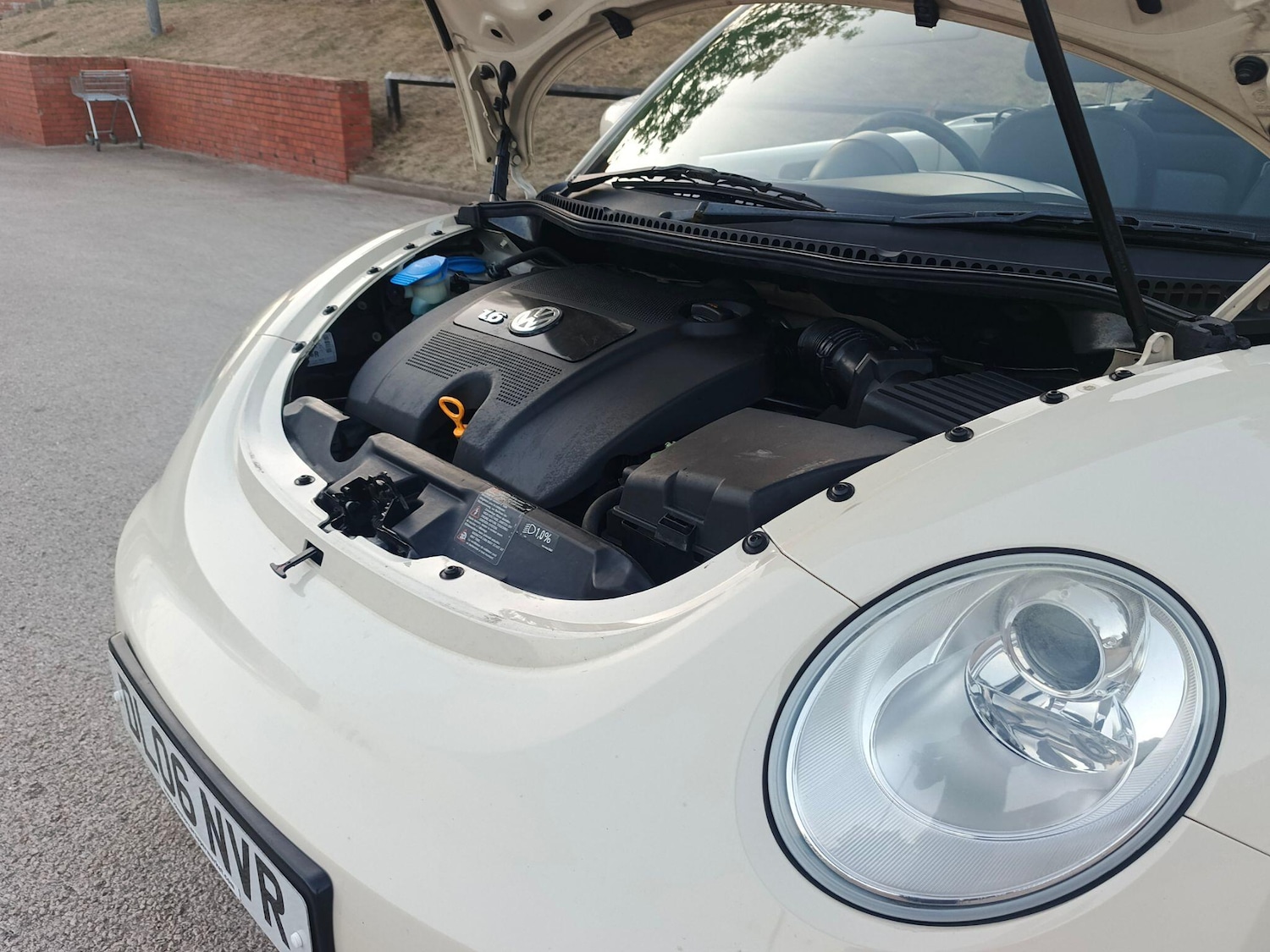 Used Volkswagen Beetle for sale - 76592694: Photo 19