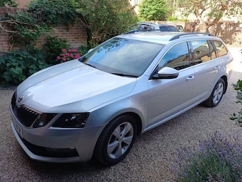 Used Skoda Octavia 2019 for sale - 79226818: Photo