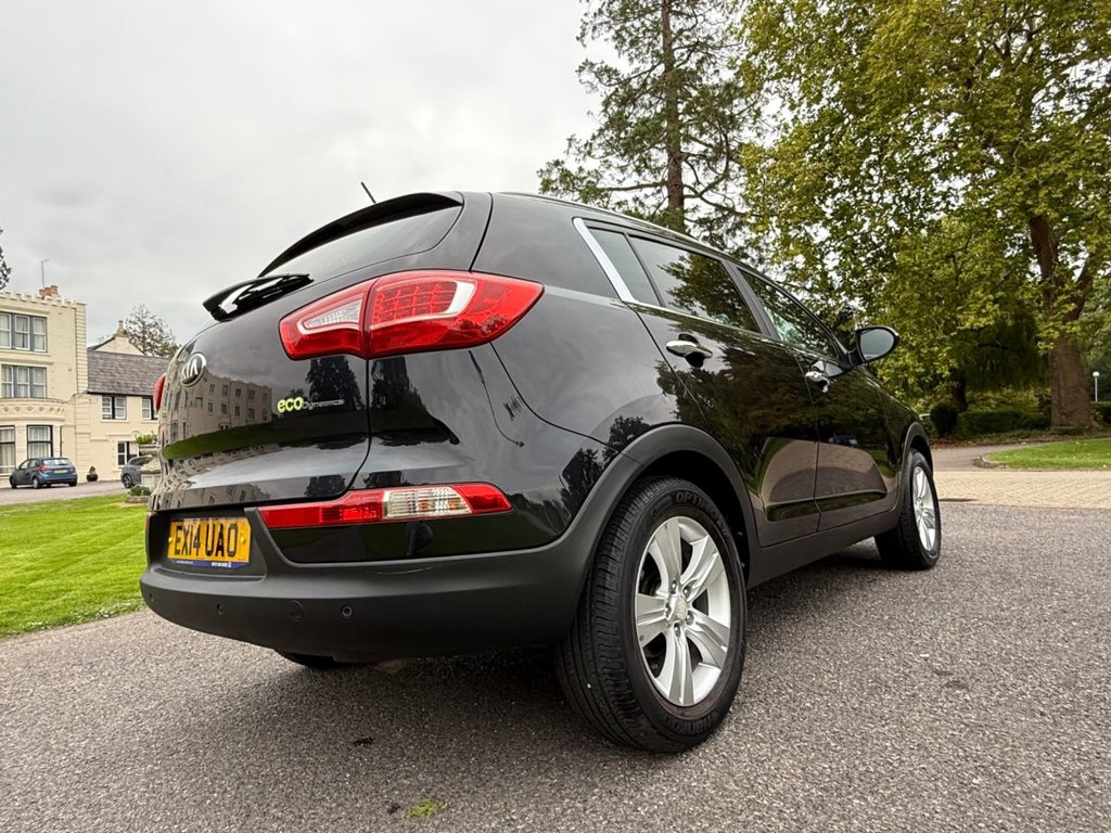 Used Kia Sportage 2014 for sale - 76080448: Photo 6