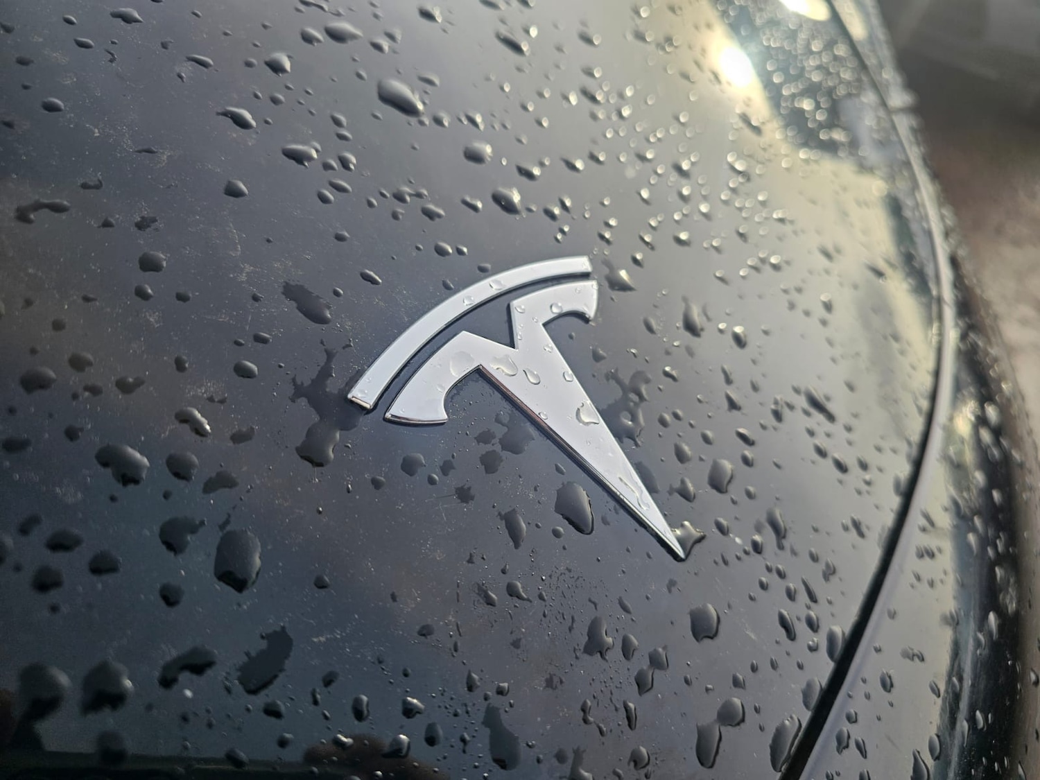 Used Tesla Model 3 2019 for sale - 77083388: Photo 19