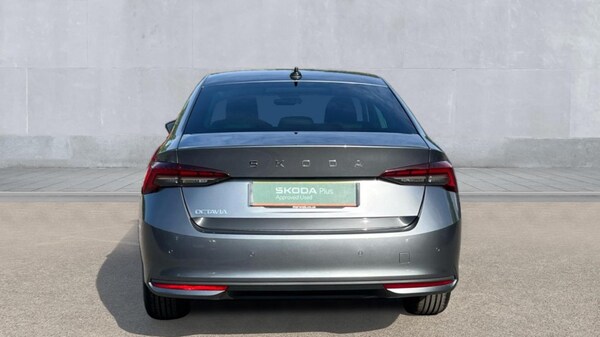 Used Skoda Octavia 2025 for sale - 76203982: Photo 11