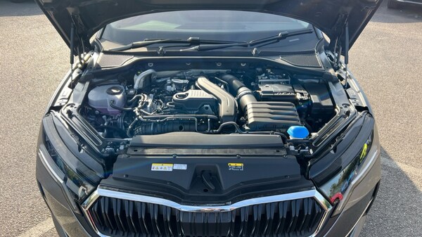 Used Skoda Octavia 2025 for sale - 76203982: Photo 17
