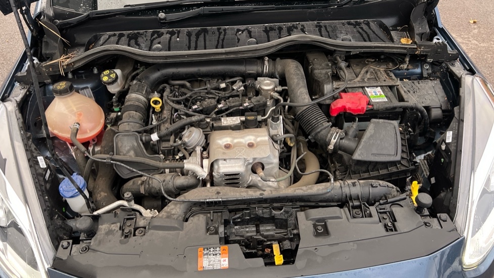 Used Ford Fiesta 2019 for sale - 76552531: Photo 16