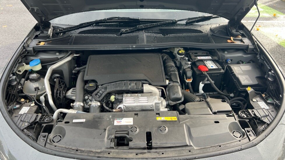Used Peugeot 308 2024 for sale - 76332129: Photo 16