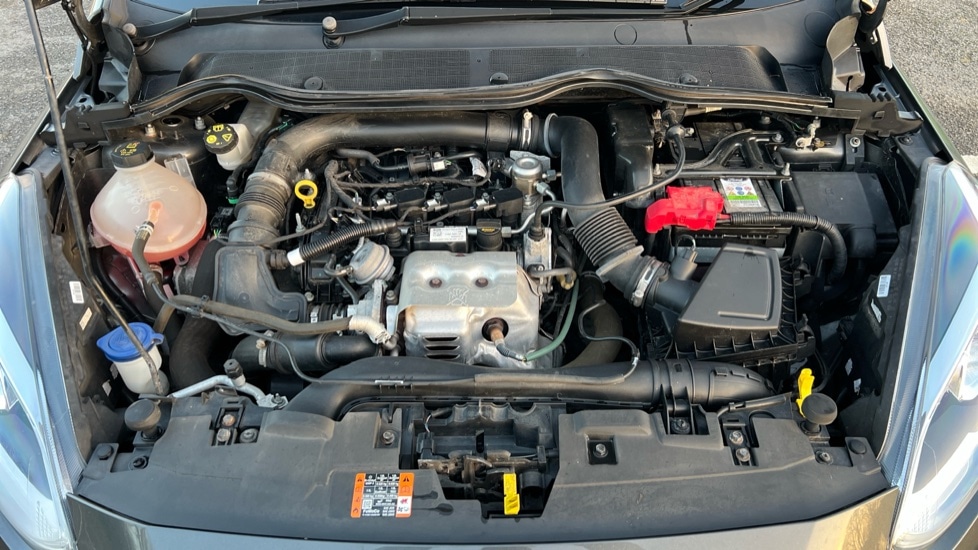 Used Ford Fiesta 2019 for sale - 76966662: Photo 16