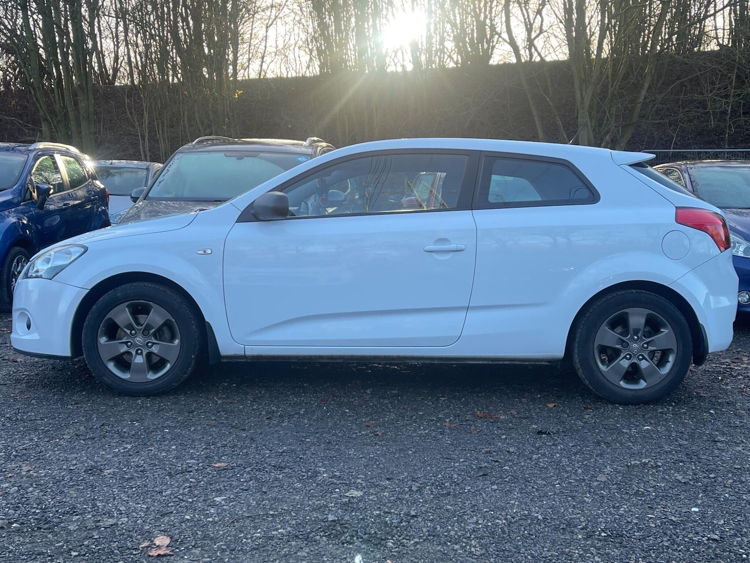 Used Kia Pro Ceed for sale - 77016885: Photo 10