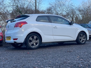 Used Kia Pro Ceed 2010 for sale - 77016885: Photo