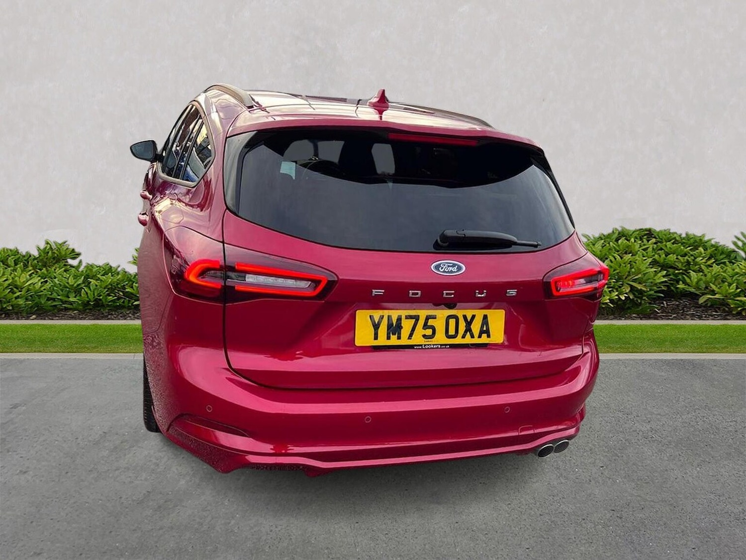 Used Ford Focus 2025 for sale - 77635818: Photo 2