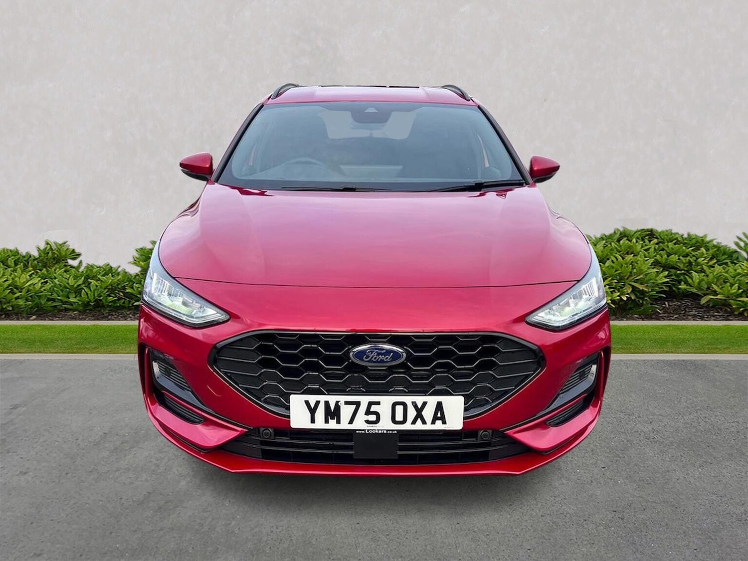 Used Ford Focus 2025 for sale - 77635818: Photo 5