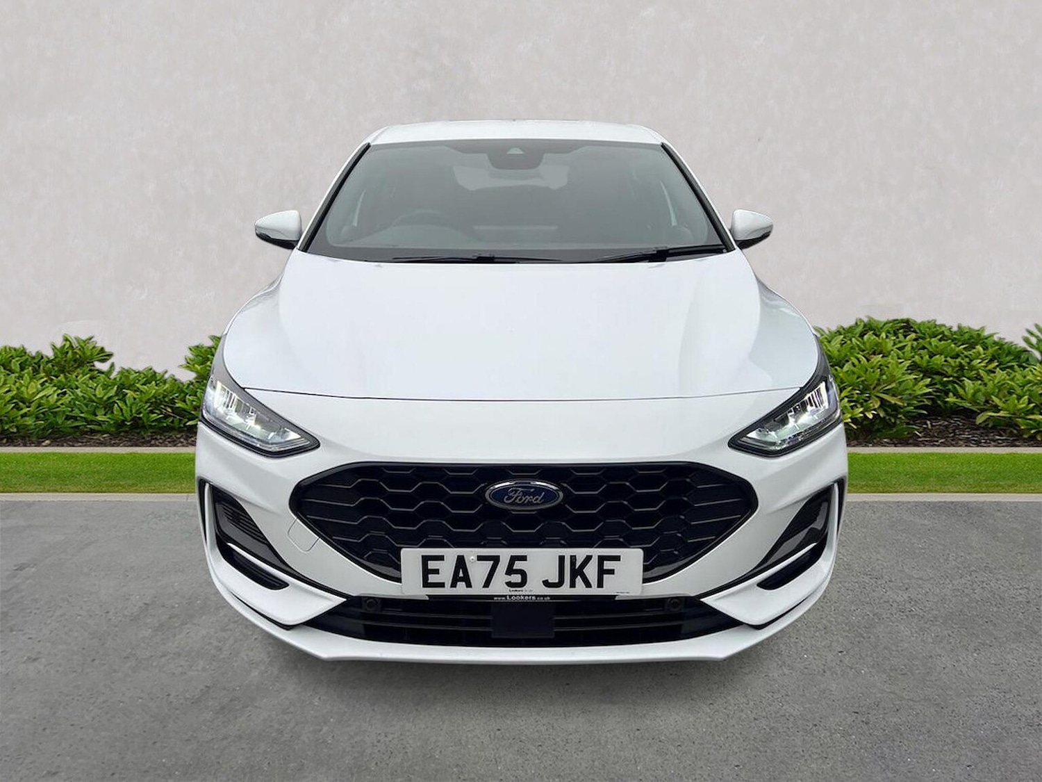 Used Ford Focus 2025 for sale - 76379036: Photo 5