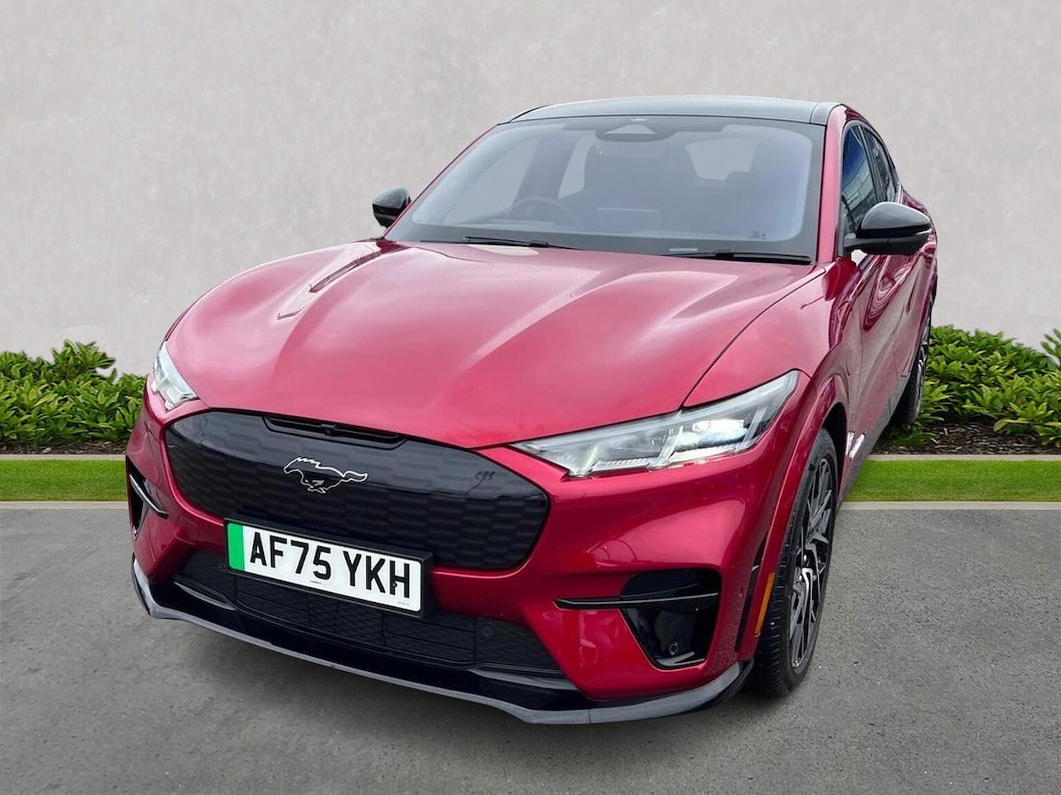 Used Ford Mustang Mach-E 2025 for sale - 78039267: Photo 20