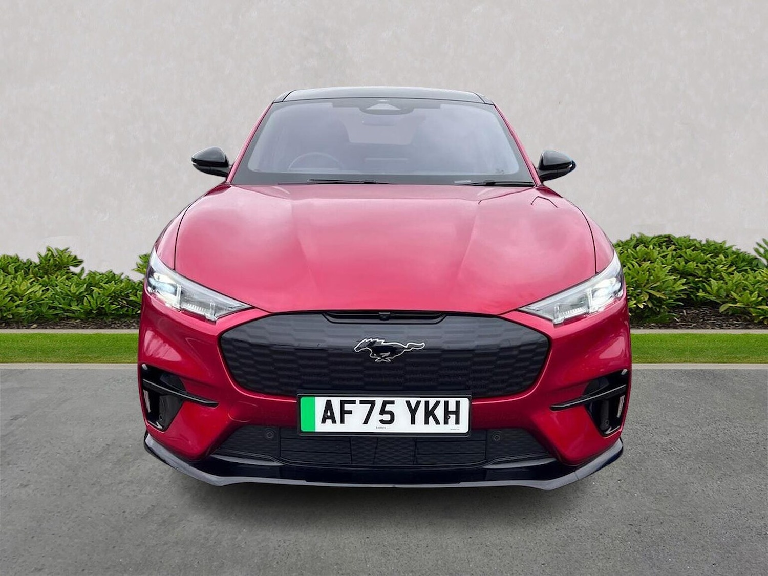 Used Ford Mustang Mach-E 2025 for sale - 78039267: Photo 5