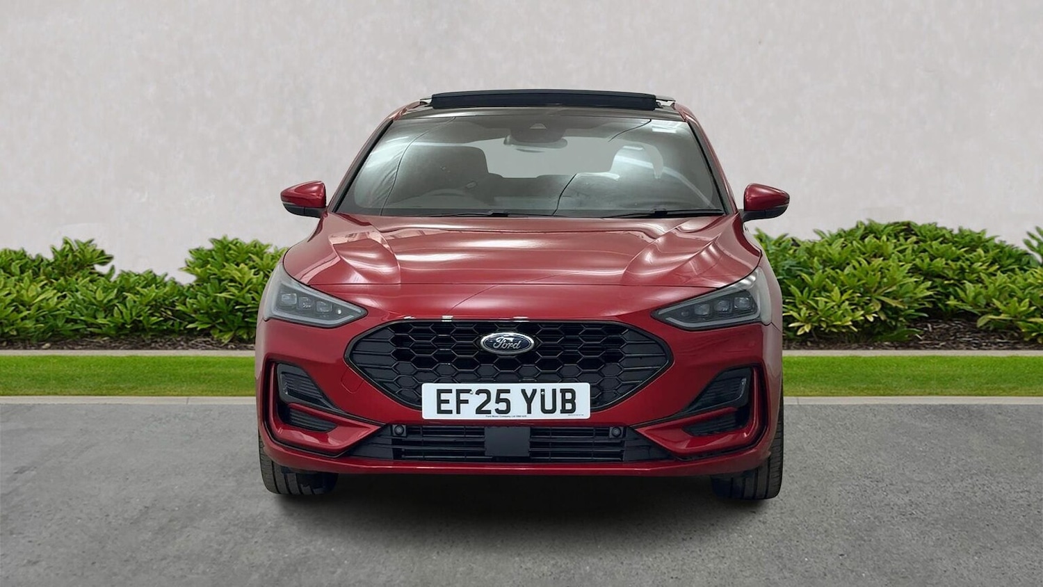 Used Ford Focus 2025 for sale - 76663767: Photo 5