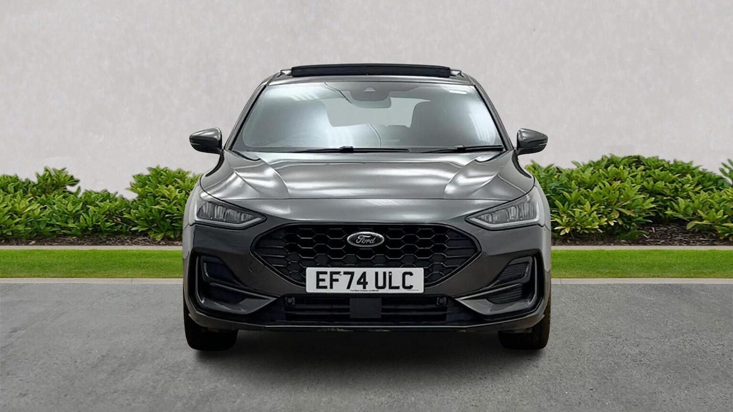 Used Ford Focus 2024 for sale - 77033469: Photo 6