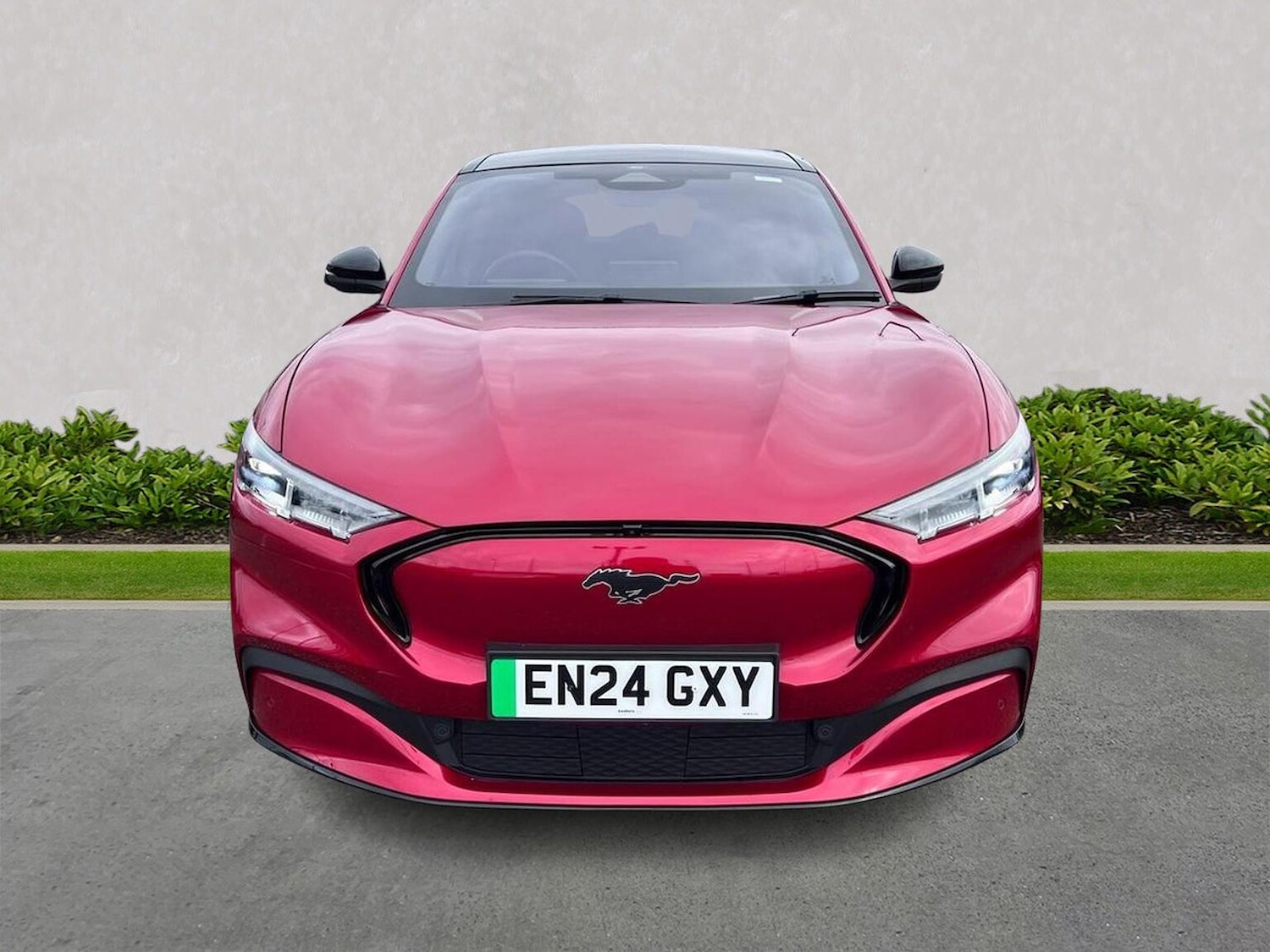 Used Ford Mustang Mach-E 2024 for sale - 77983983: Photo 5