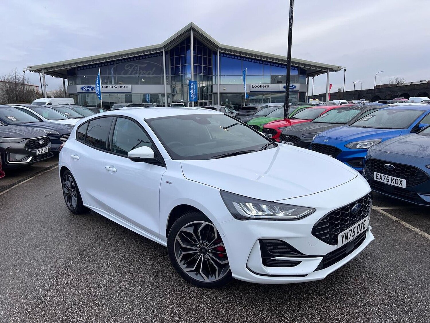 Used Ford Focus 2025 for sale - 77542448: Photo 39