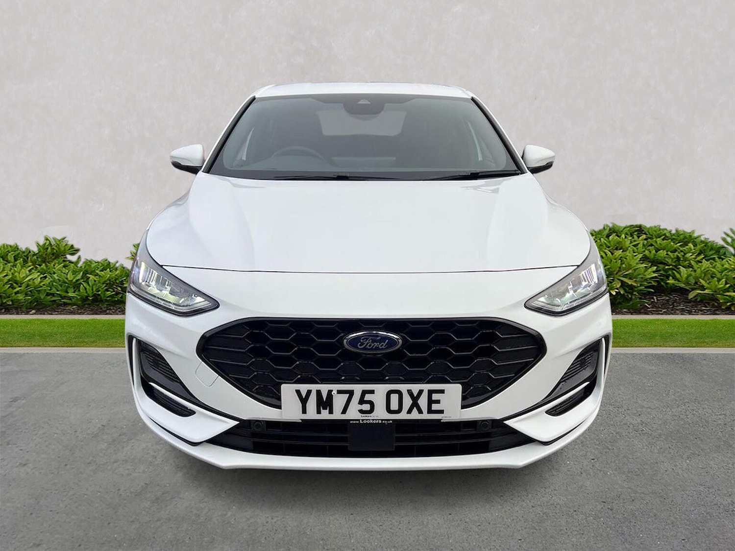 Used Ford Focus 2025 for sale - 77542448: Photo 5