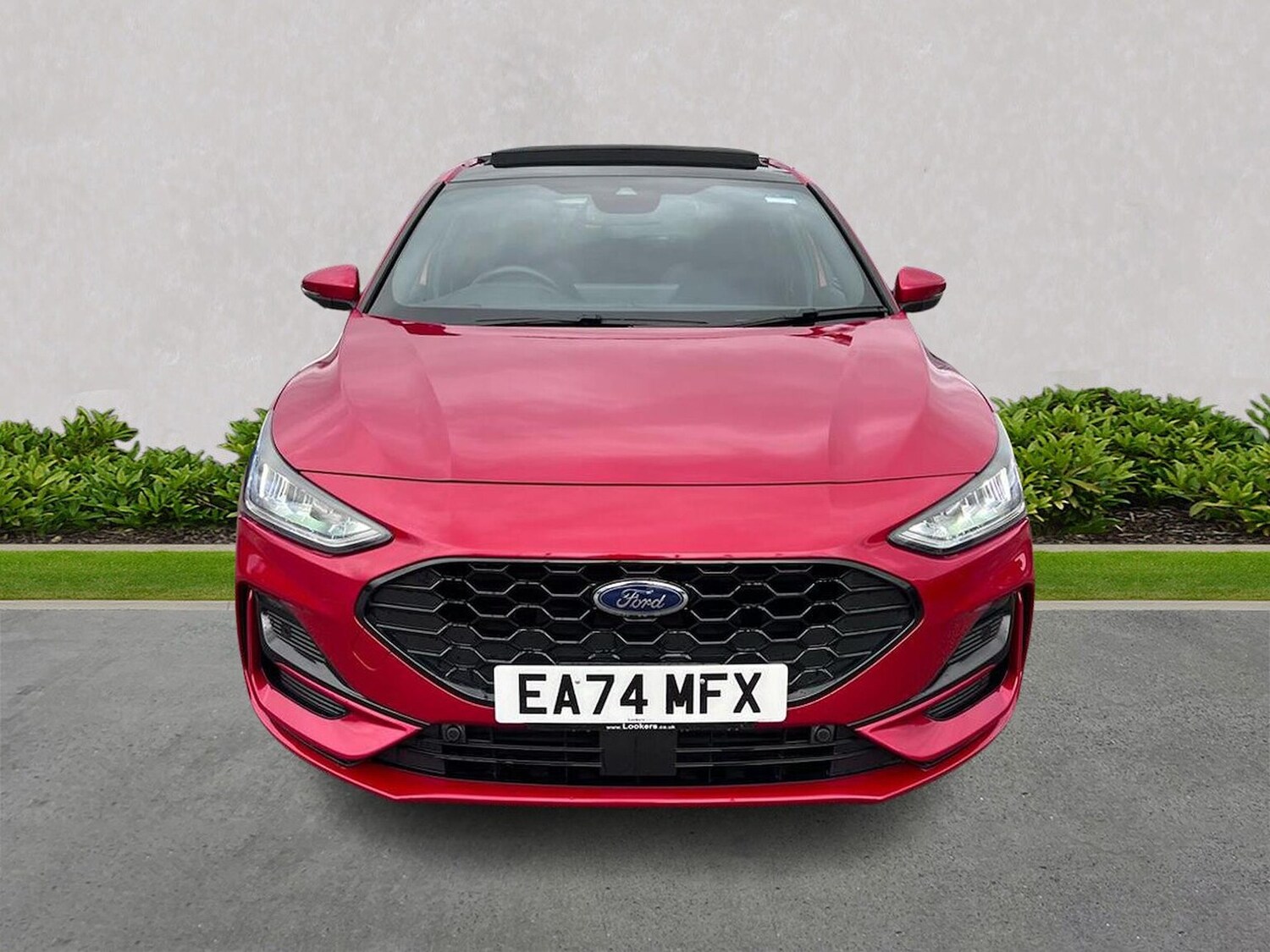 Used Ford Focus 2024 for sale - 76273484: Photo 5