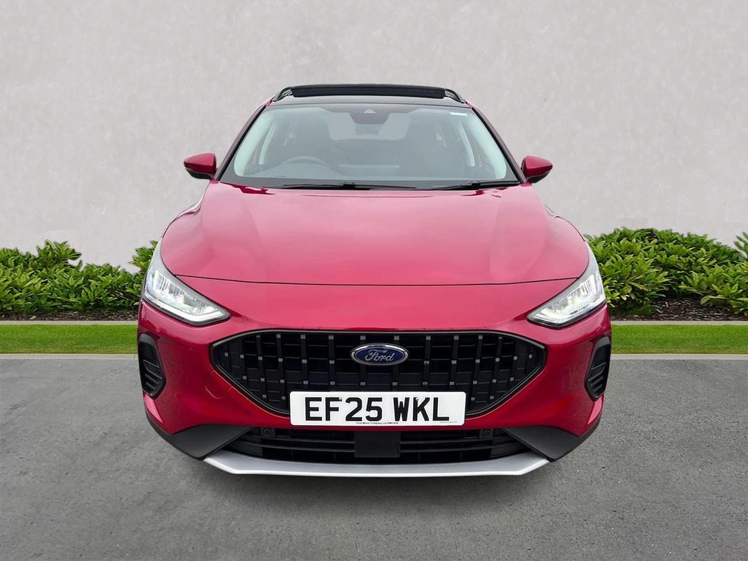 Used Ford Focus 2025 for sale - 77775148: Photo 5