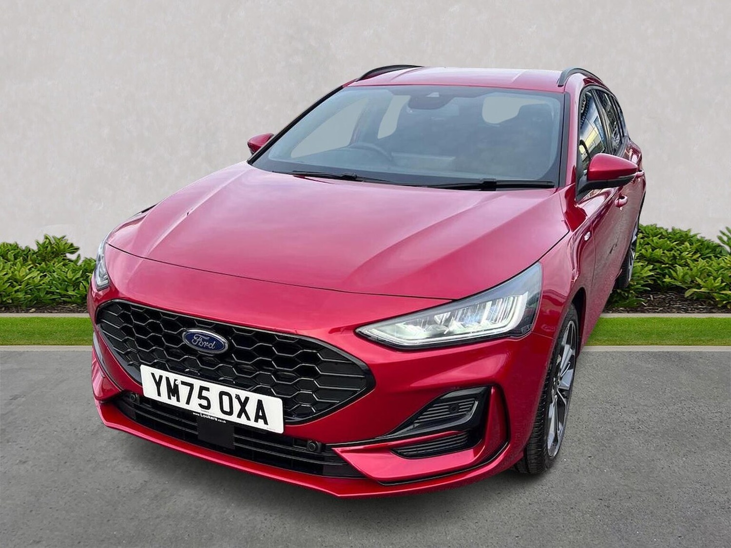 Used Ford Focus 2025 for sale - 77542456: Photo 20