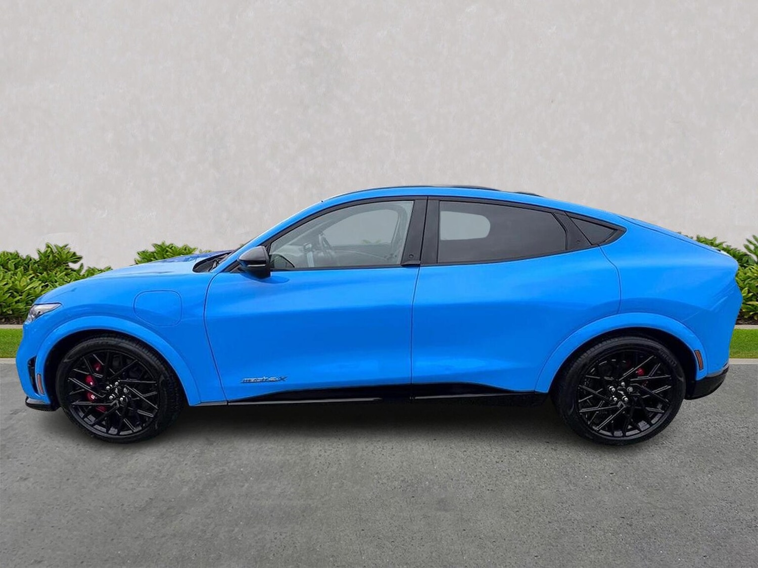 Used Ford Mustang Mach-E 2024 for sale - 77775149: Photo 19