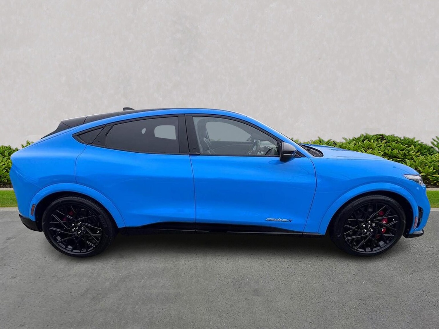 Used Ford Mustang Mach-E 2024 for sale - 77775149: Photo 3