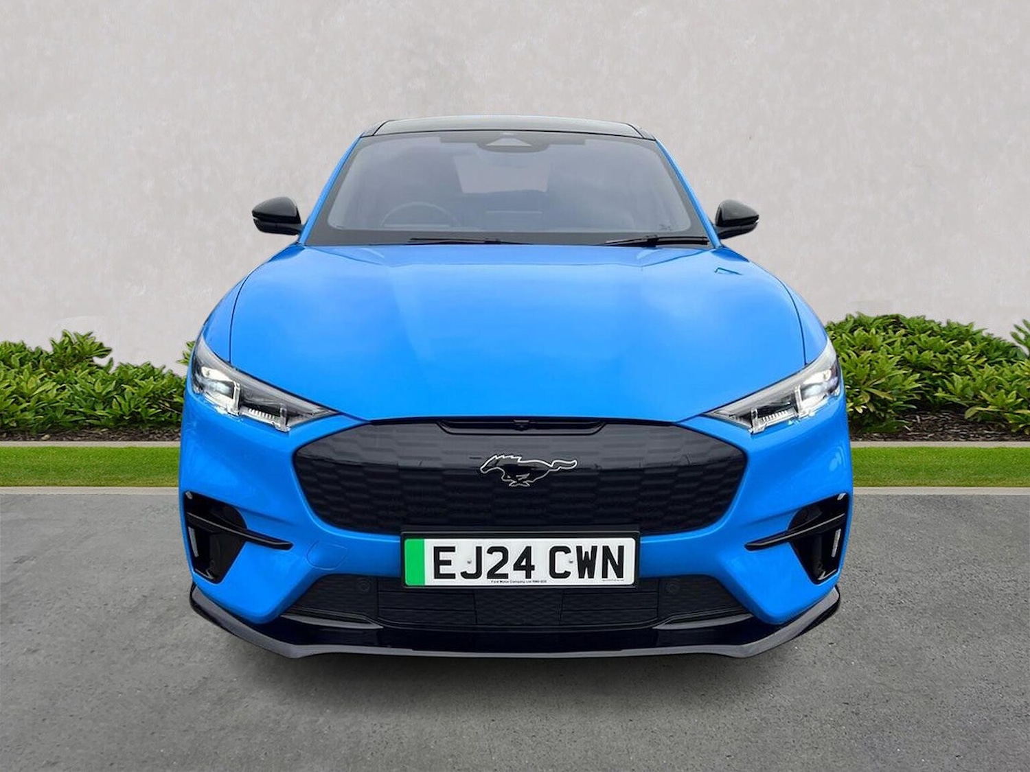 Used Ford Mustang Mach-E 2024 for sale - 77775149: Photo 5