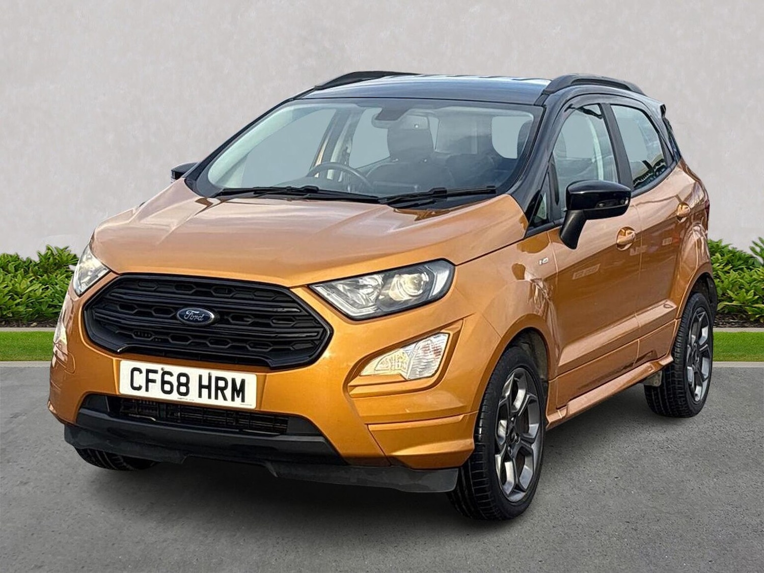 Used Ford Ecosport 2019 for sale - 76757441: Photo 20