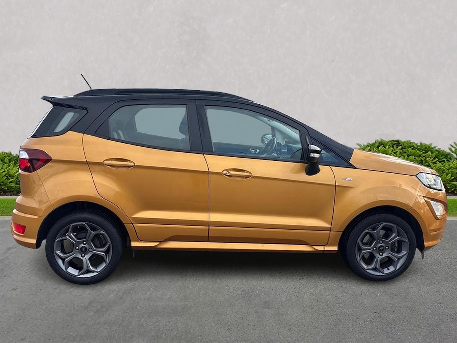 Used Ford Ecosport 2019 for sale - 76757441: Photo 3
