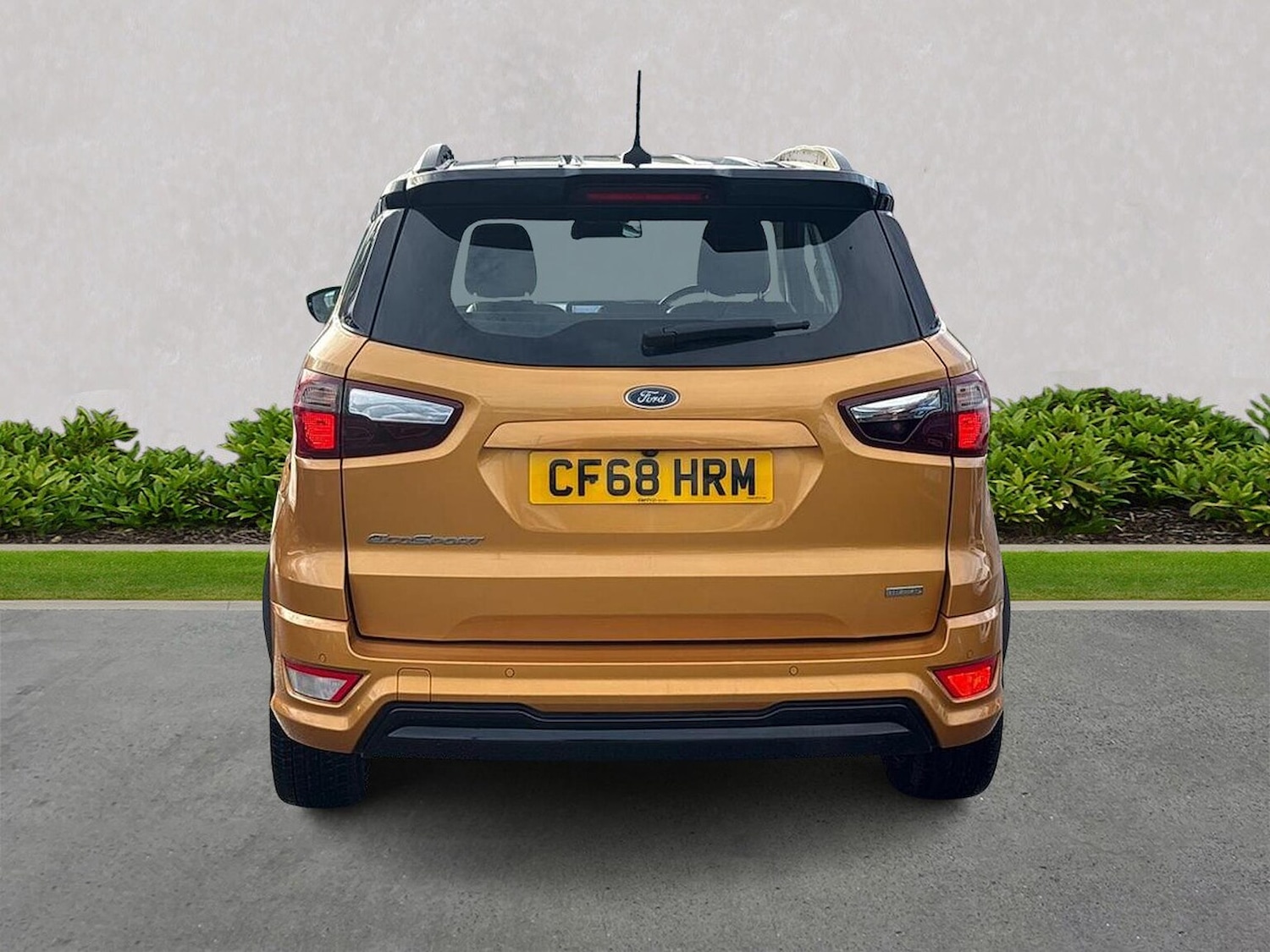 Used Ford Ecosport 2019 for sale - 76757441: Photo 4