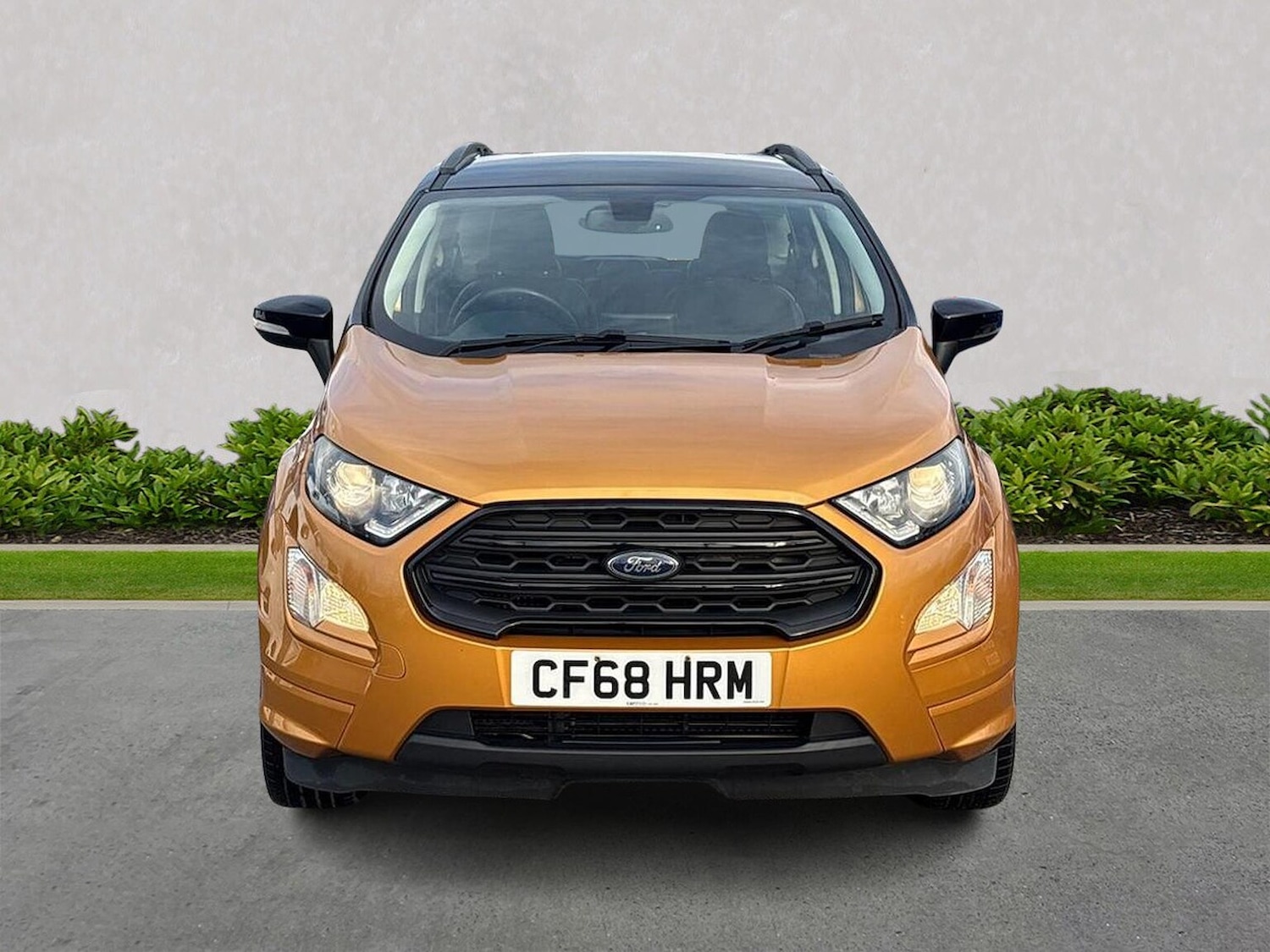 Used Ford Ecosport 2019 for sale - 76757441: Photo 5