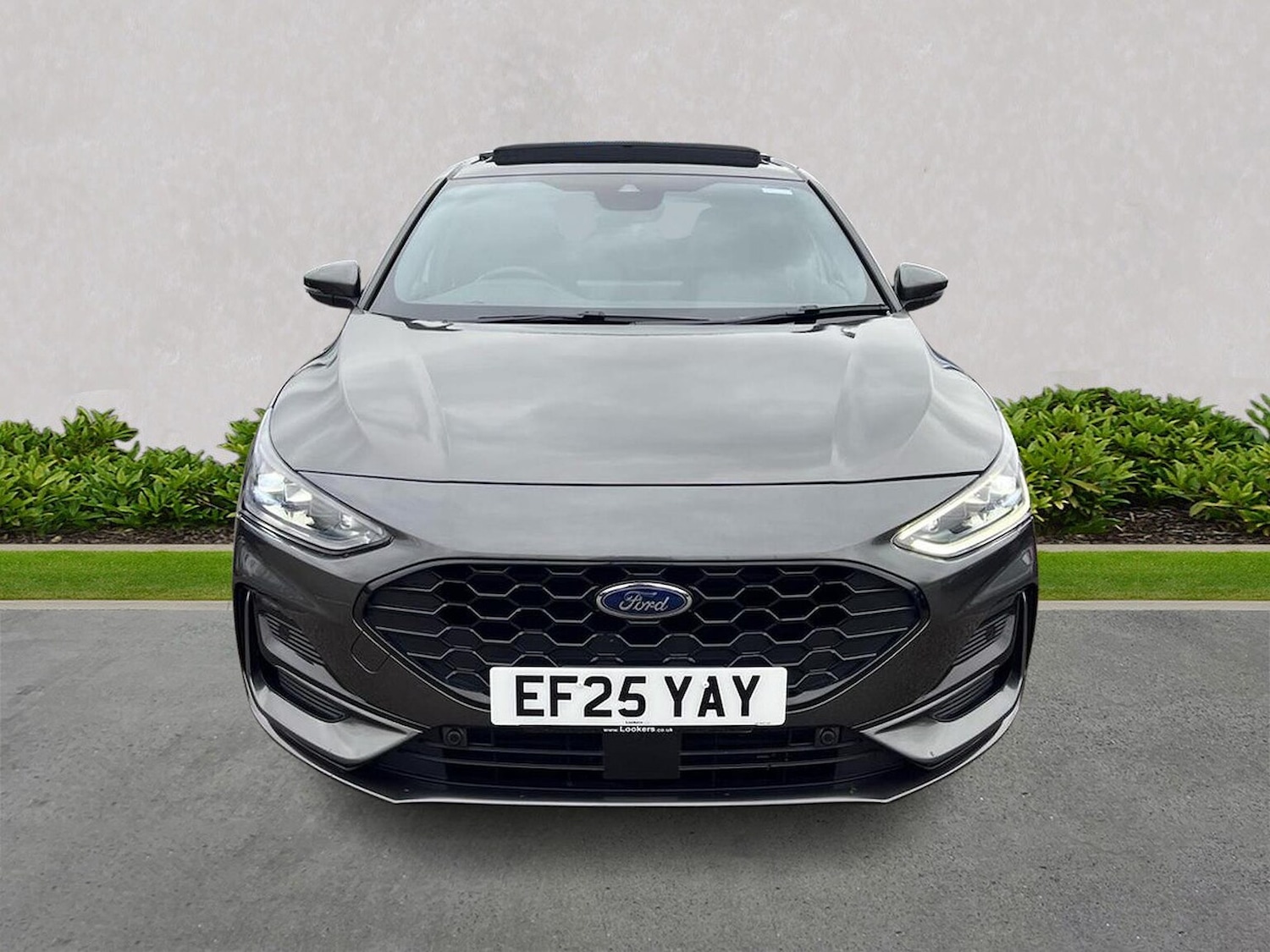 Used Ford Focus 2025 for sale - 77775146: Photo 5