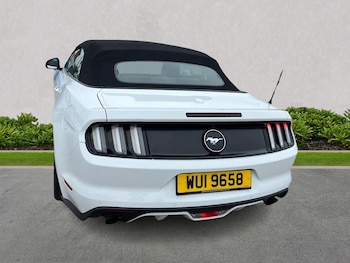 Used Ford Mustang 2018 for sale - 79240546: Photo