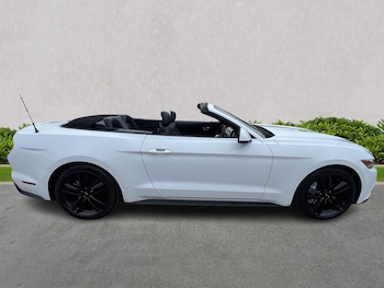 Used Ford Mustang 2018 for sale - 79240546: Photo
