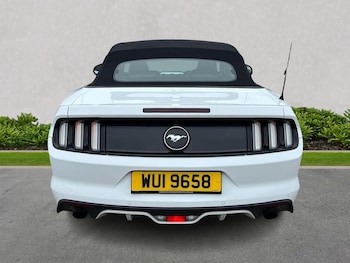 Used Ford Mustang 2018 for sale - 79240546: Photo
