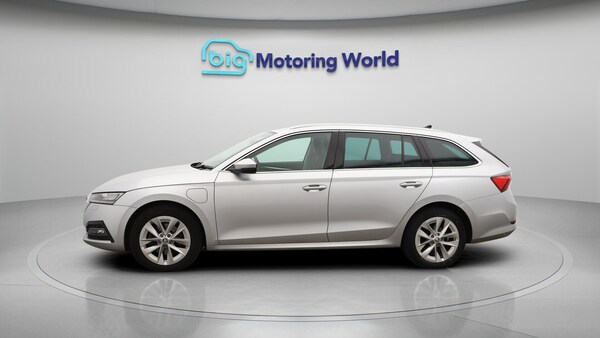 Used Skoda Octavia 2022 for sale - 76307105: Photo 5