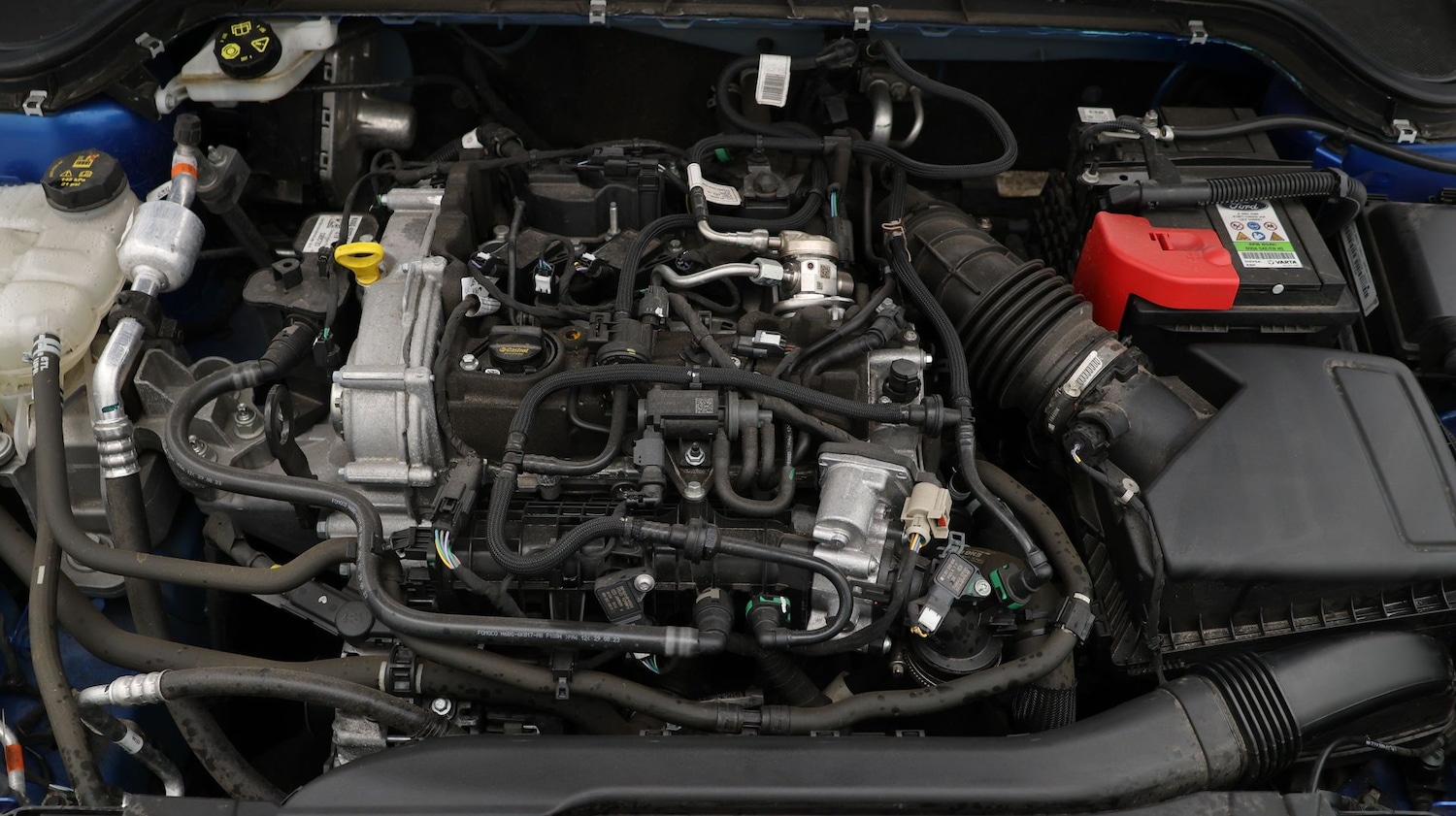 Used Ford Focus 2023 for sale - 77181872: Photo 19