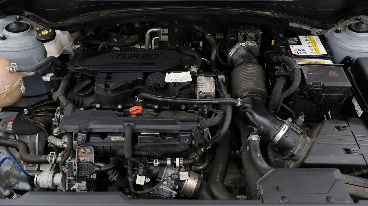 Used Kia Sportage 2022 for sale - 77619681: Photo 19