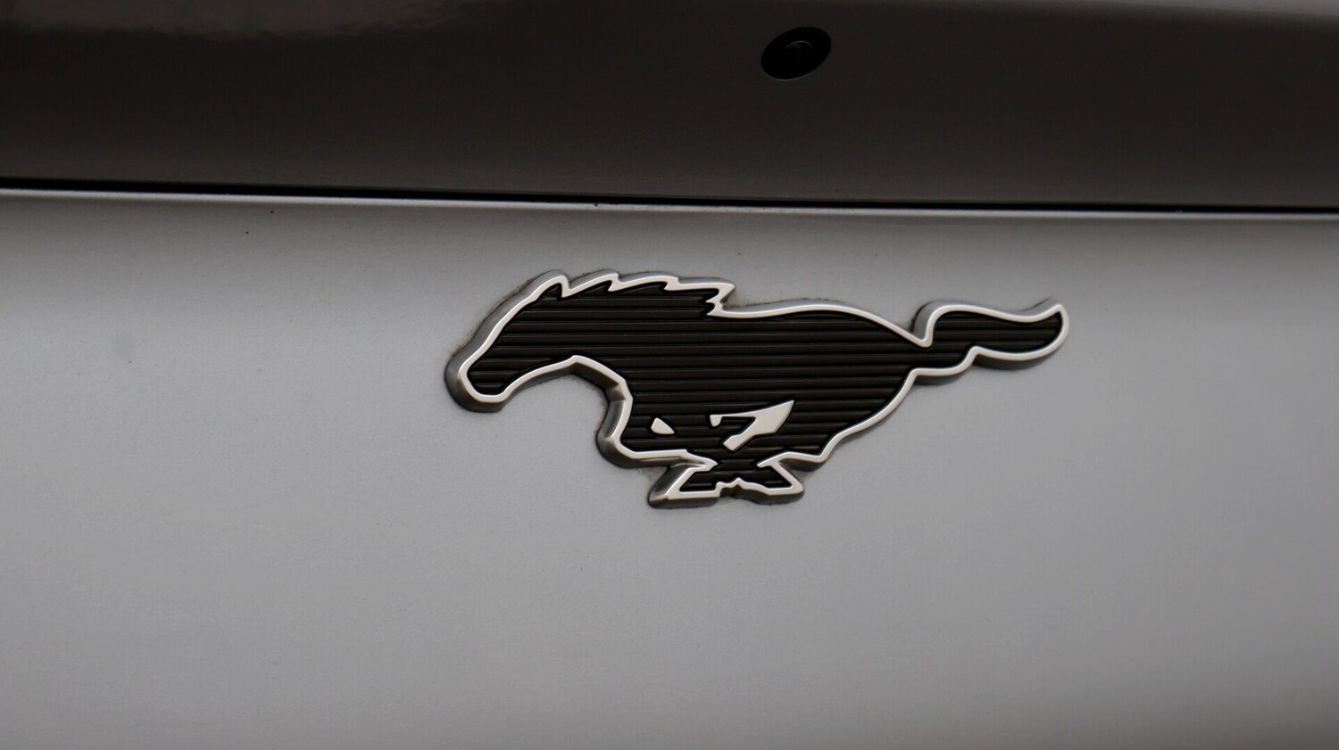 Used Ford Mustang Mach-E 2024 for sale - 77831968: Photo 24