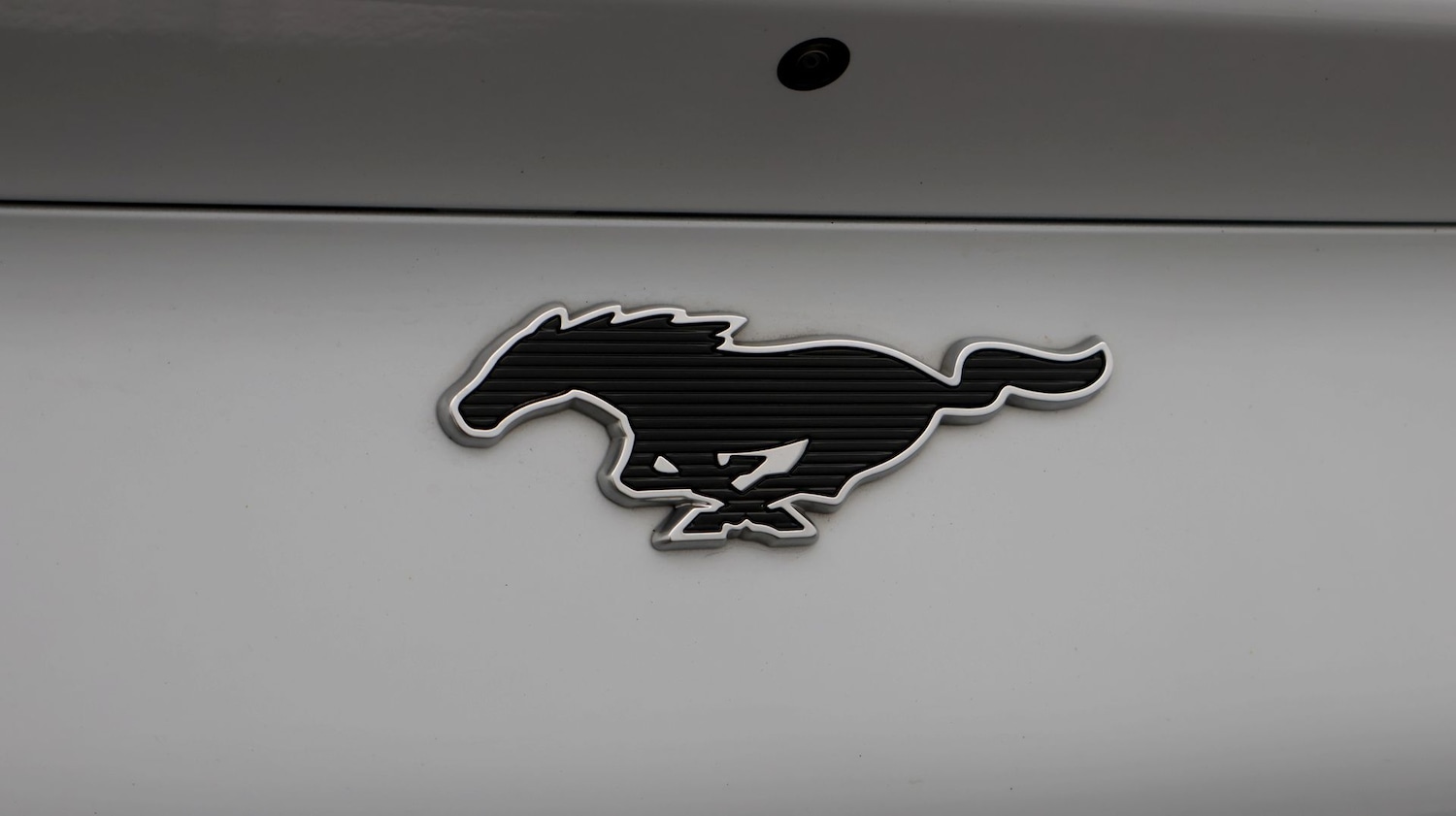 Used Ford Mustang Mach-E 2024 for sale - 77341102: Photo 22