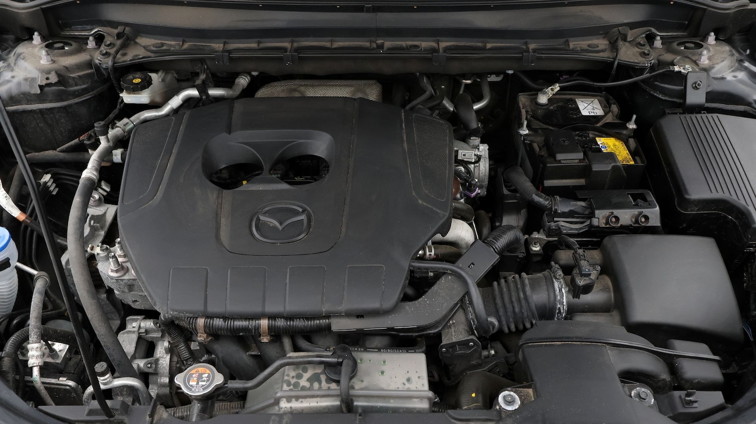 Used Mazda CX-5 2024 for sale - 77745287: Photo 19