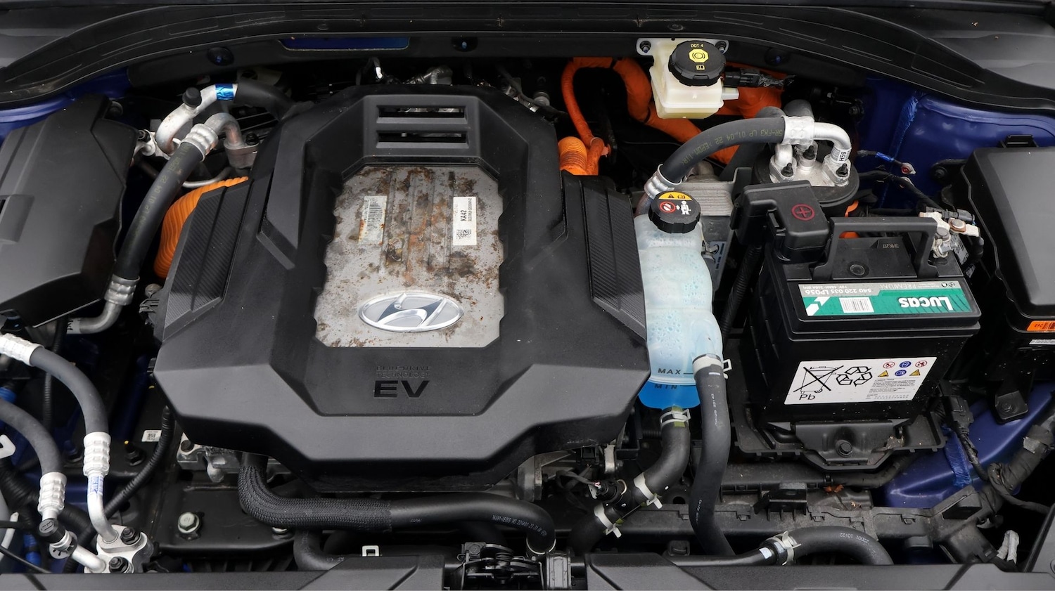 Used Hyundai IONIQ 2022 for sale - 77618747: Photo 19