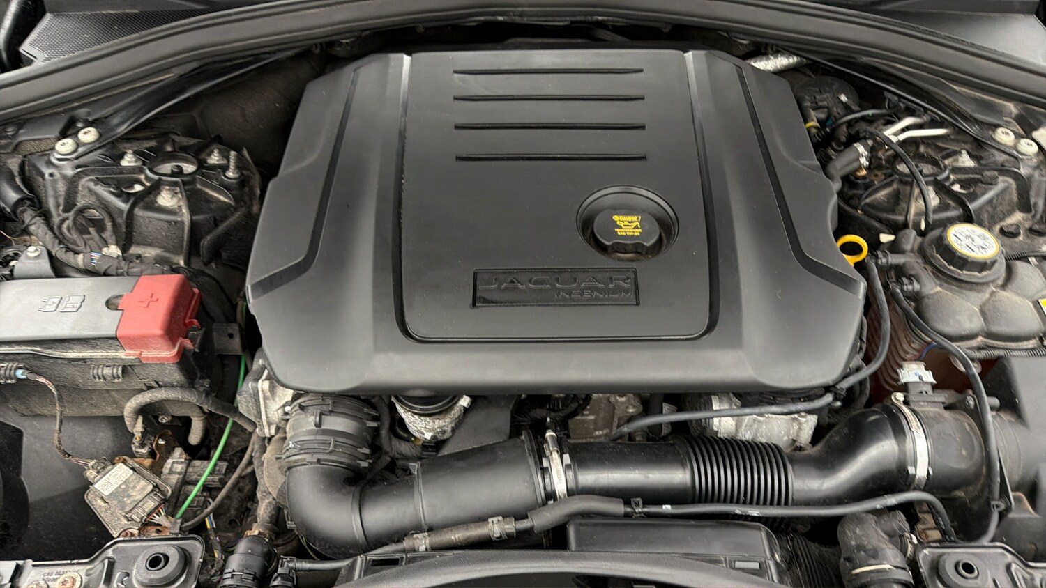 Used Jaguar F-Pace 2020 for sale - 77905665: Photo 18