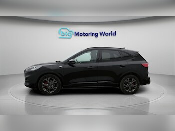 Used Ford Kuga 2022 for sale - 77487022: Photo