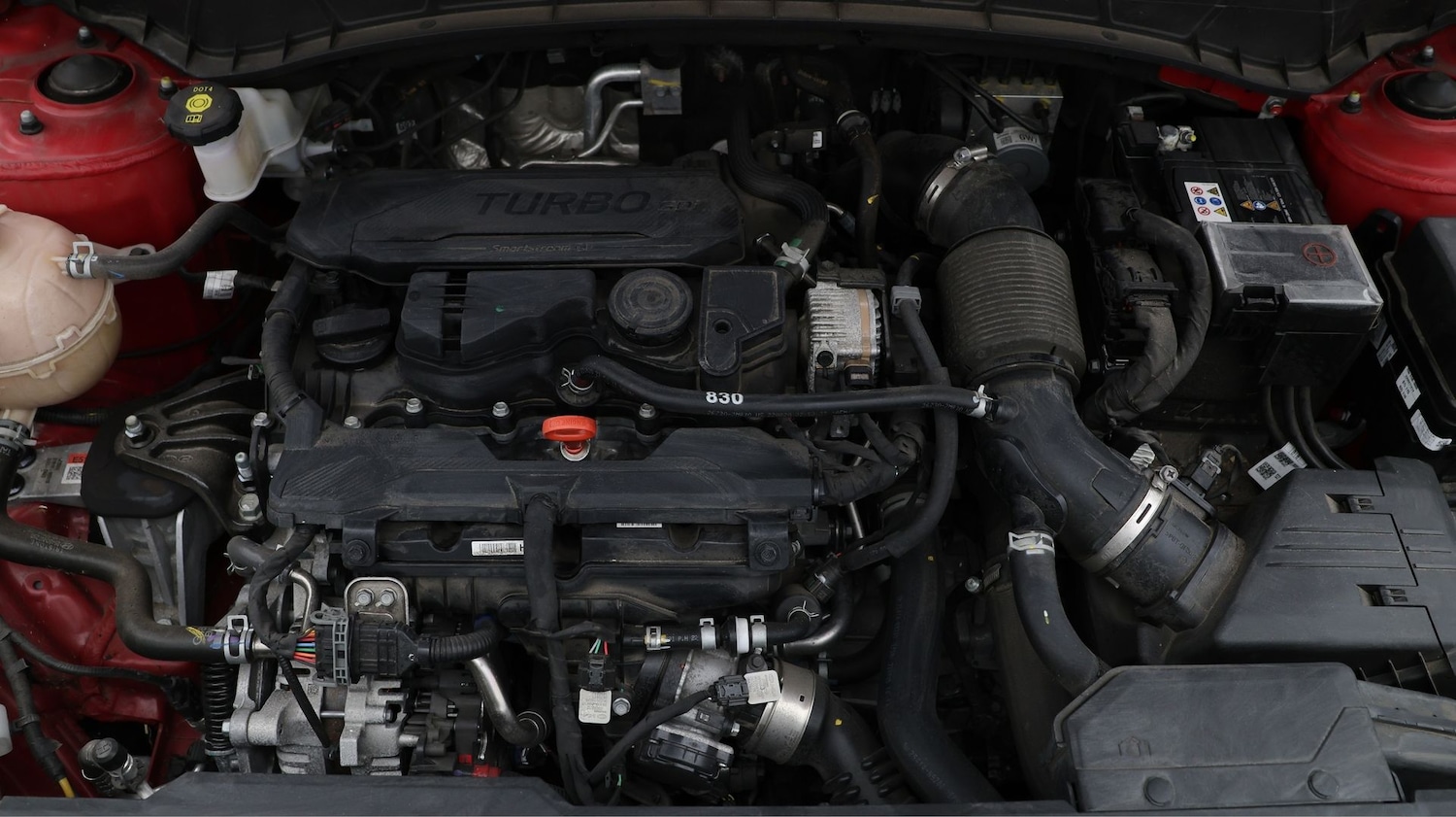 Used Hyundai TUCSON 2023 for sale - 77541802: Photo 19