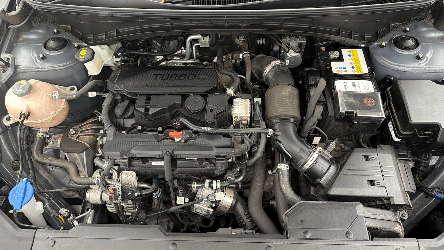 Used Hyundai TUCSON 2023 for sale - 77998175: Photo 18