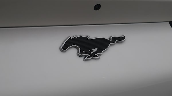 Used Ford Mustang Mach-E 2021 for sale - 76259996: Photo 22