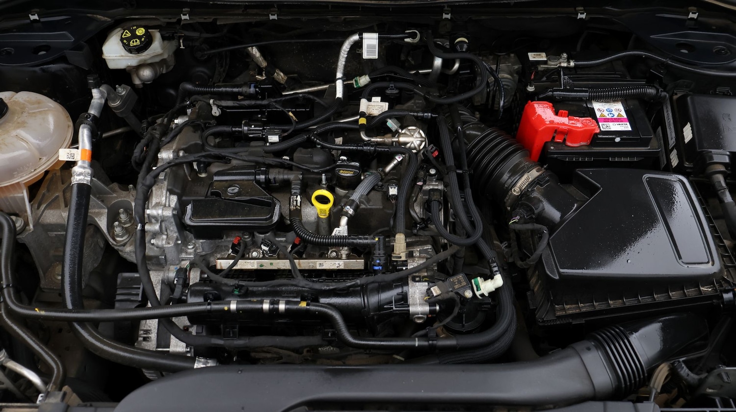 Used Ford Kuga 2023 for sale - 77611219: Photo 19